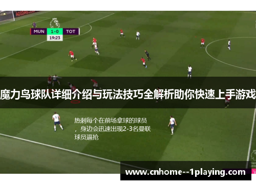 魔力鸟球队详细介绍与玩法技巧全解析助你快速上手游戏