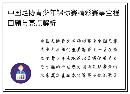 中国足协青少年锦标赛精彩赛事全程回顾与亮点解析